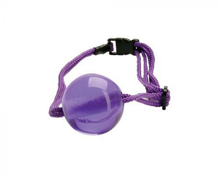 JAPANESE-SILK-LOVE-ROPE-BALL-GAG-PURPLE-F1-Mordaza de bola para boca Mordaza de bola para boca