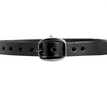 Detalle Collar BDSM cuero