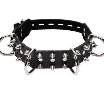 Collar cuero puas