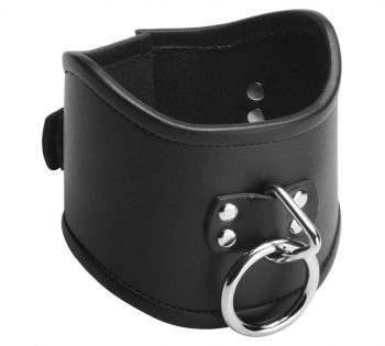 Collar postura BDSM
