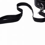 Set Collar con correa Frisky F2.
