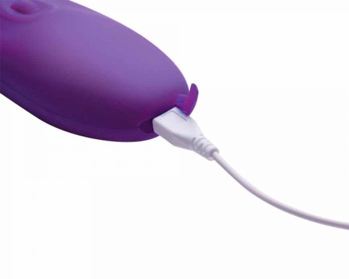 Conexión de carga Estimulador Clitorial de succión Womanizer. Conexión de carga Estimulador Clitorial de succion Womanizer.