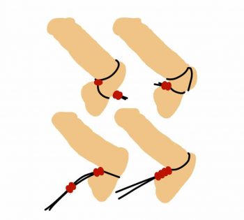 lazo erector para pene F3.
