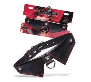 Collar sumiso gotico estilo Master Series F1.