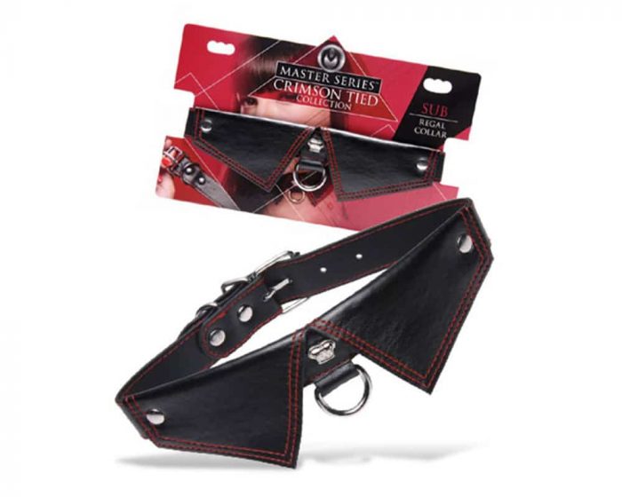 Collar sumiso gotico estilo Master Series F1.
