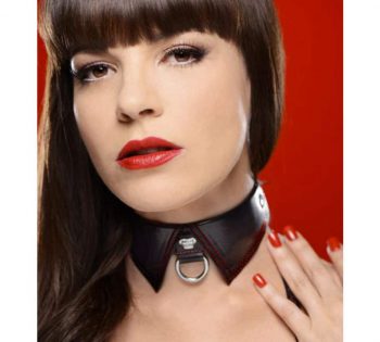 Collar sumiso gotico estilo Master Series F