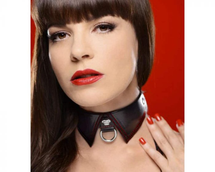 Collar sumiso gotico estilo Master Series F