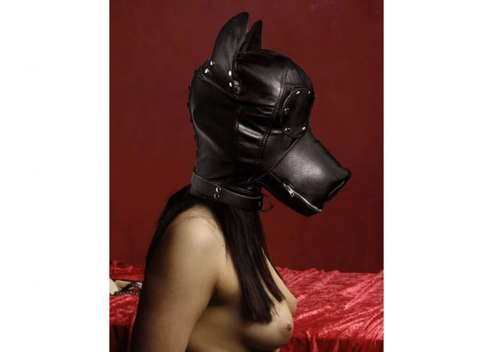 AD181-Master-Series-Ultimate-Leather-Dog-hood-F5