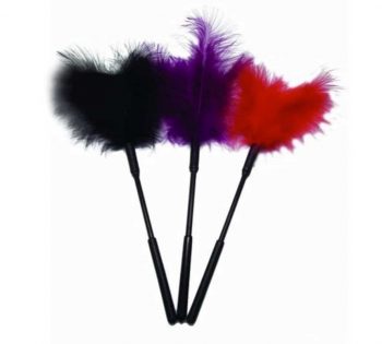 Plumas Traviesas unidad