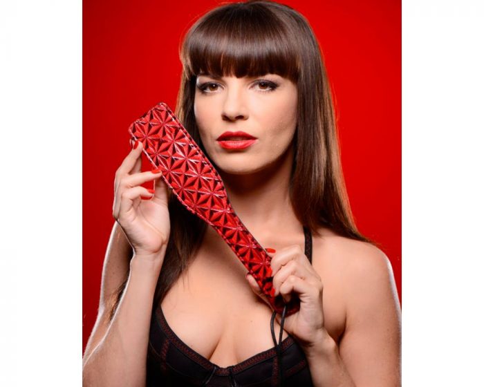 AE146-Master-Series-Crimson-Tied-Steel-Enforced--Spanking-Paddle-Fg3