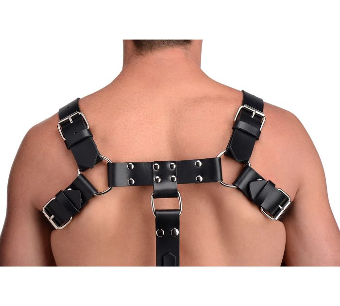 STRICTLEATHER-AF636-EnglishBullDogHarnessWithCockStrap-F2
