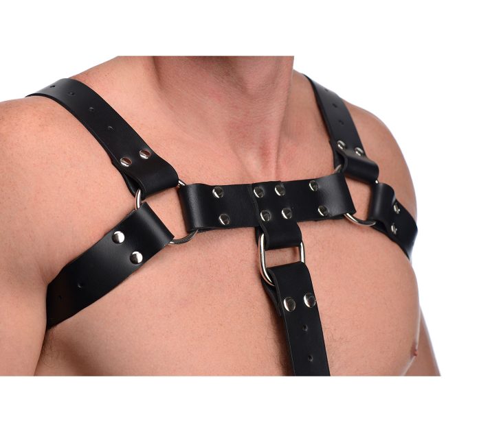 STRICTLEATHER-AF636-EnglishBullDogHarnessWithCockStrap-F3
