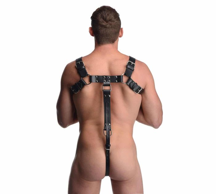STRICTLEATHER-AF636-EnglishBullDogHarnessWithCockStrap-F4