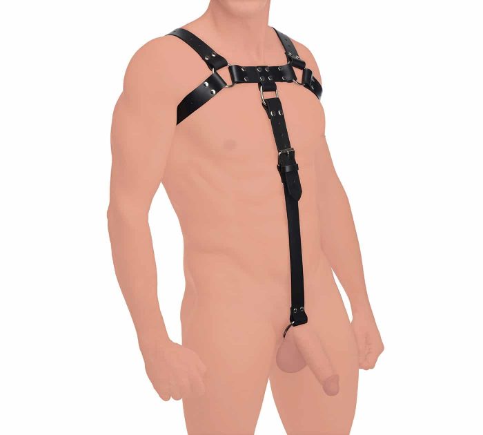 STRICTLEATHER-AF636-EnglishBullDogHarnessWithCockStrap-F5