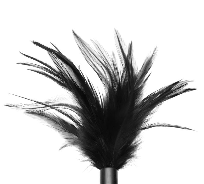 Greygasms-AD362-BLACK-Pluma-Tickler-Negra-F2-1400x1260