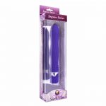 Vibrador elegante con gema Swell Vibe Vogue